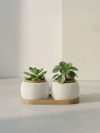 RILLA - Pflanztopf DUO mit Tablett