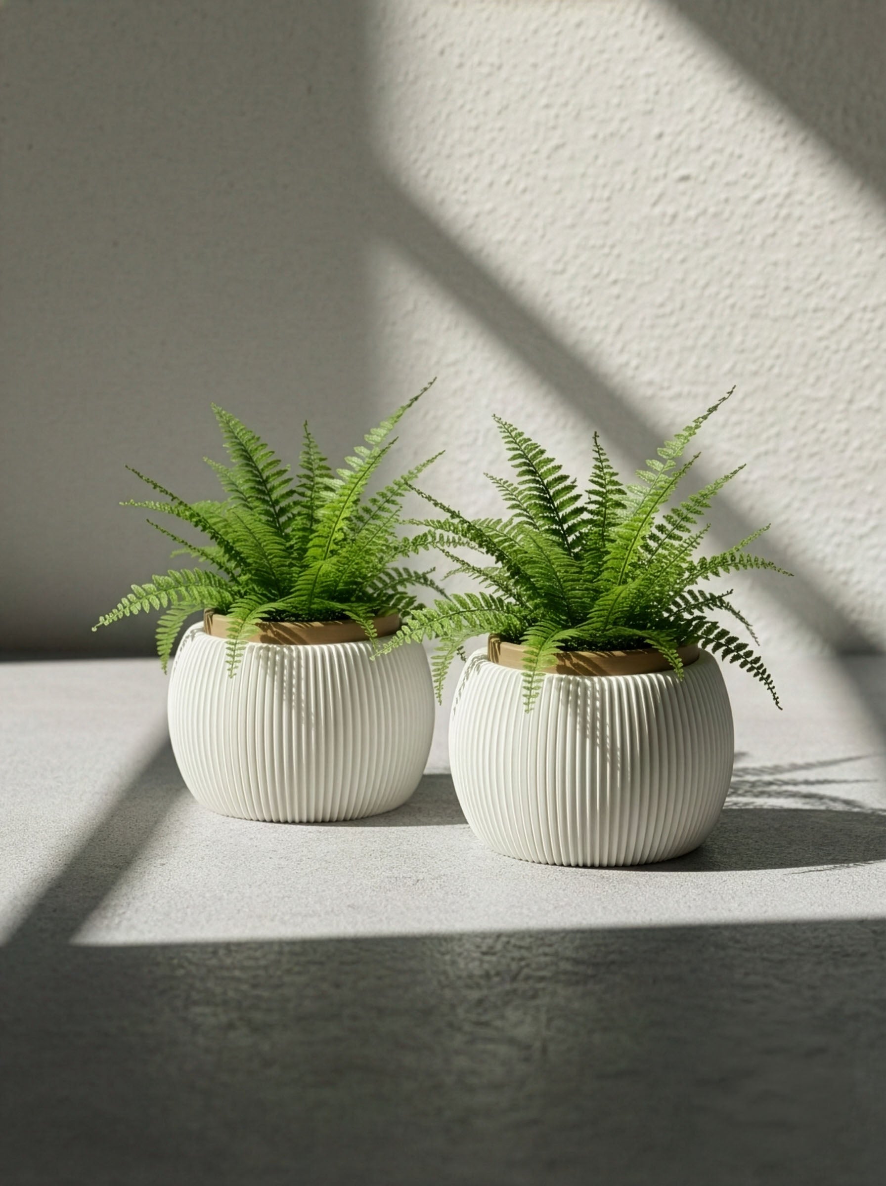 RILLA - Pflanztopf SOLO