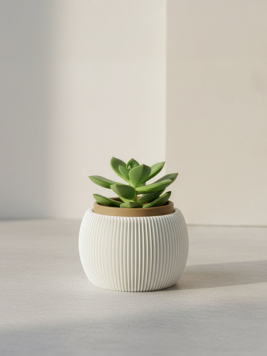 RILLA - Pflanztopf SOLO