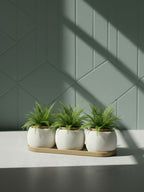 RILLA - Pflanztopf TRIO mit Tablett