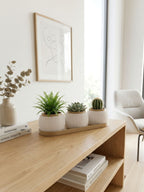 RILLA - Pflanztopf TRIO mit Tablett